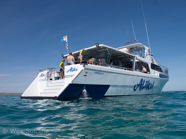 WS2204-33.jpg