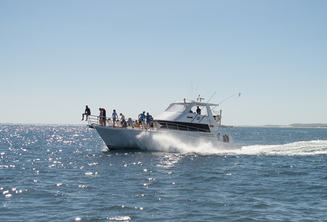 WS2204-38.jpg