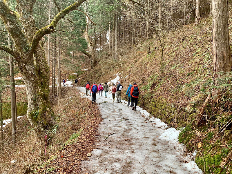 Nakasendo Trail Japan 4.jpg