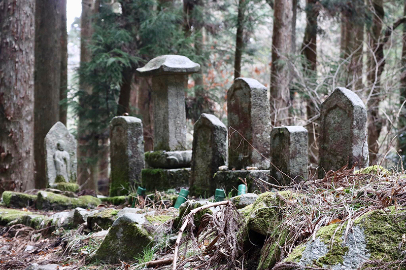 Nakasendo Trail Japan 1.jpg
