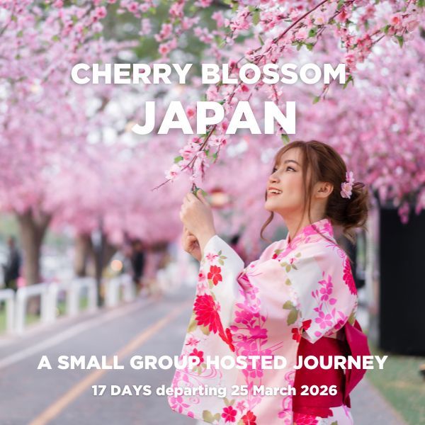 Tile - Cherry Blossom Japan 2026 NZ 2.jpg