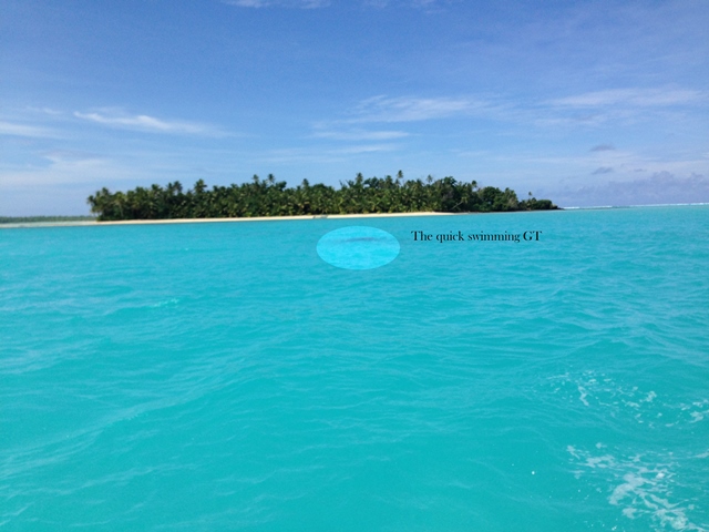 IMG_3461.jpg