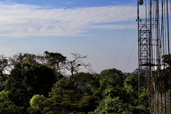 IMG_2982-FullSizeRender_copy.jpg