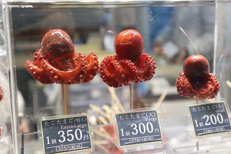 Octopus Japan 1.jpg