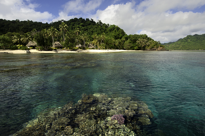 QAMEA_REEF_RESORT.jpg