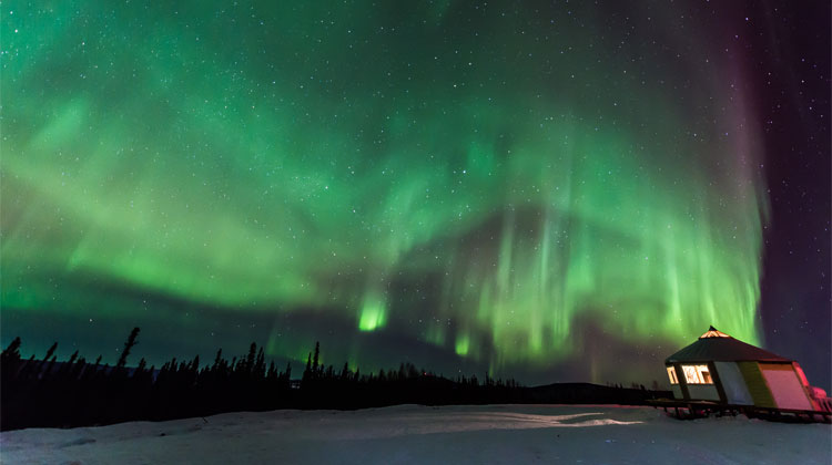 1st_Alaska_Tours.jpg