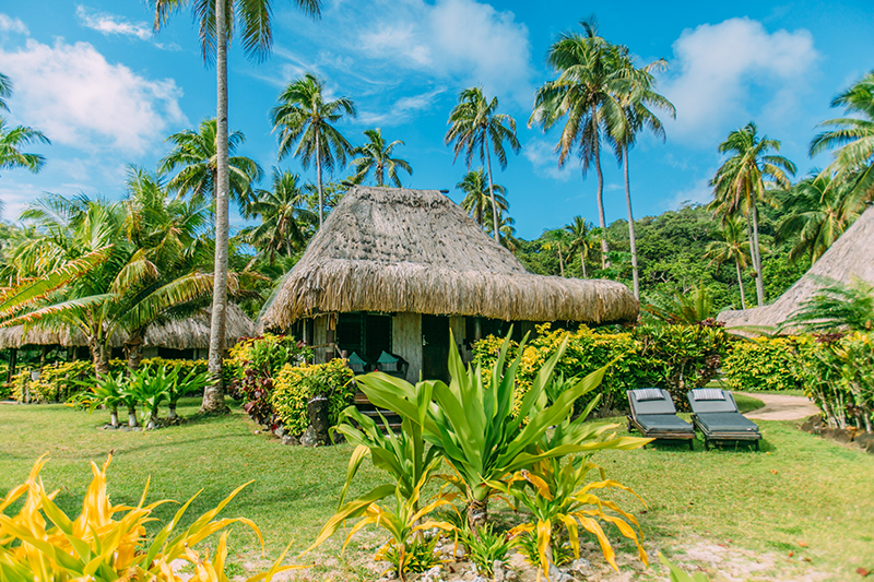 BEACHFRONT_BURE_EXTERIOR_PALMS_1.jpg